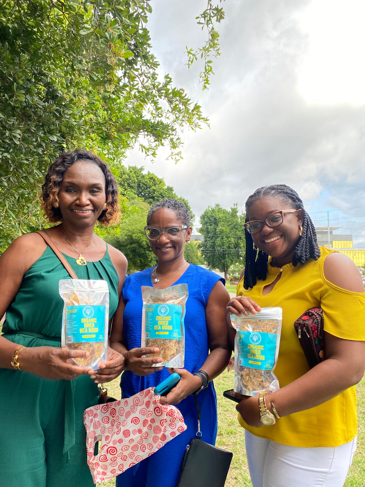 Organic Dried Sea Moss