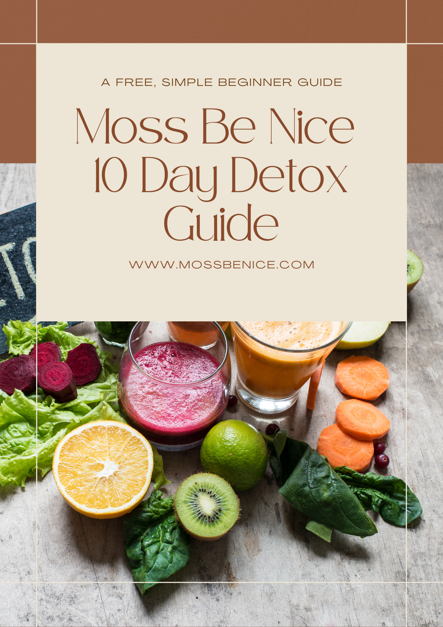 FREE 10 Days Detox Guide